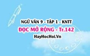 Soạn bài Đọc mở rộng trang 142 lớp 9 tập 1 Kết nối tri thức